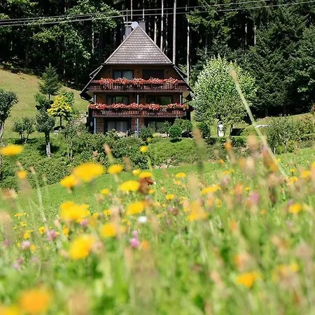 Hanselehof * Oberwolfach