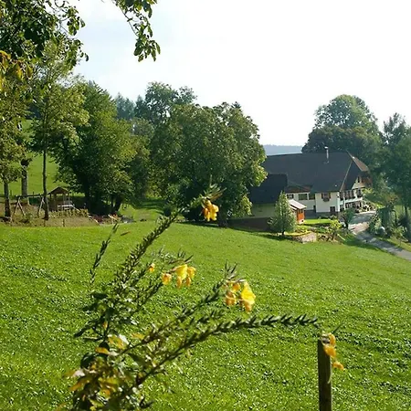 Hanselehof Apartman Oberwolfach