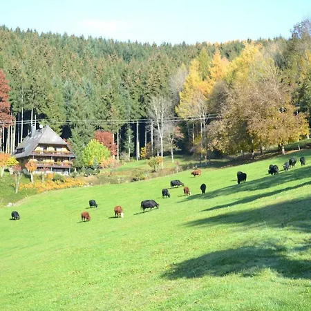 Apartman Hanselehof Oberwolfach